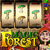 Magic Forest